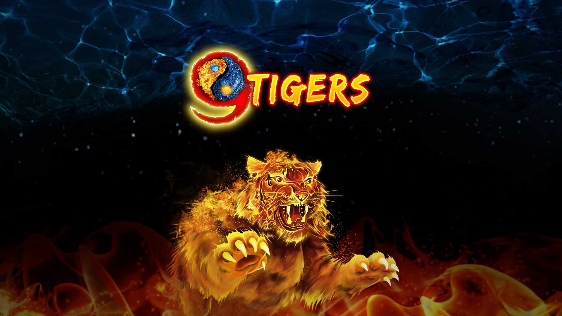 9 Tigers