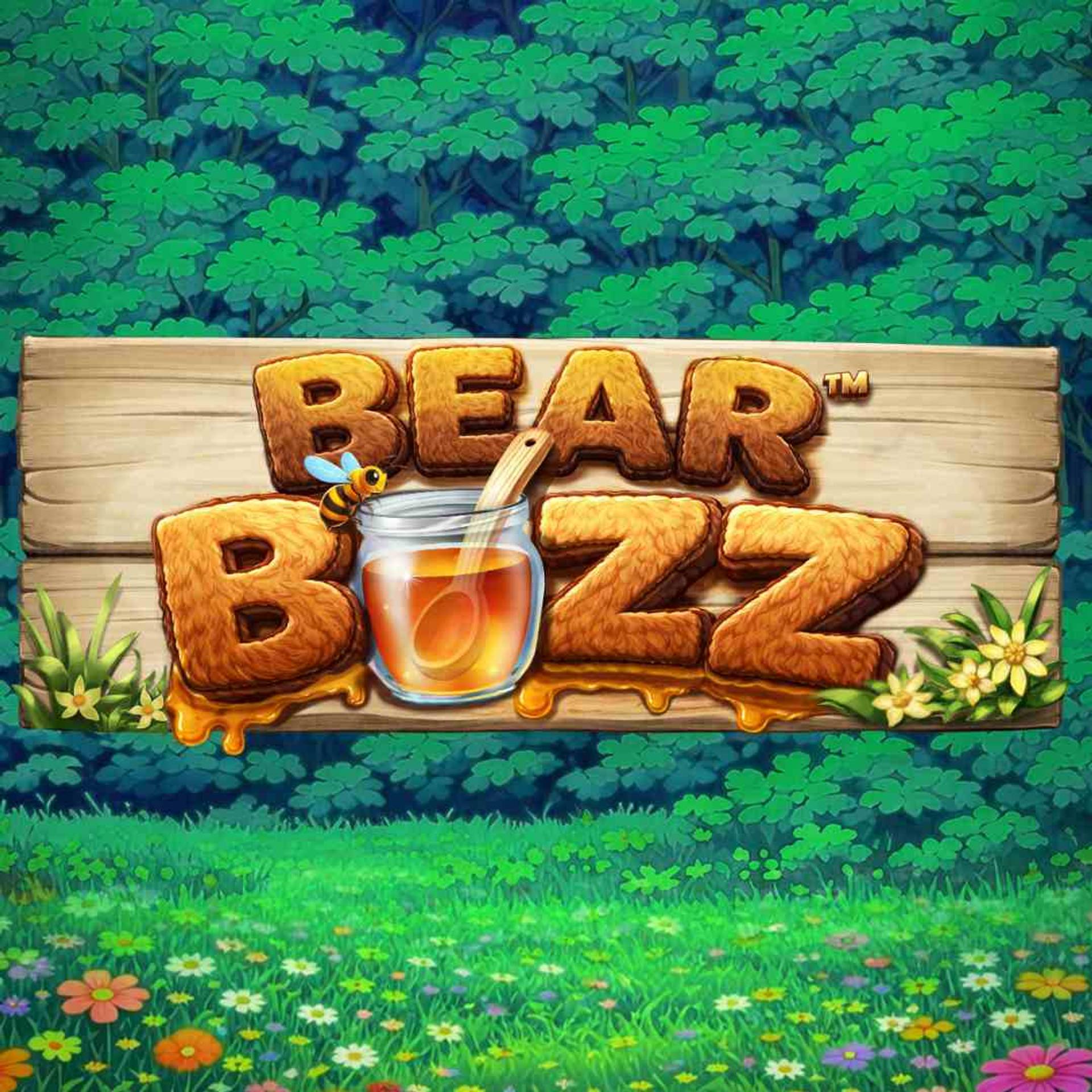 Bear Buzz