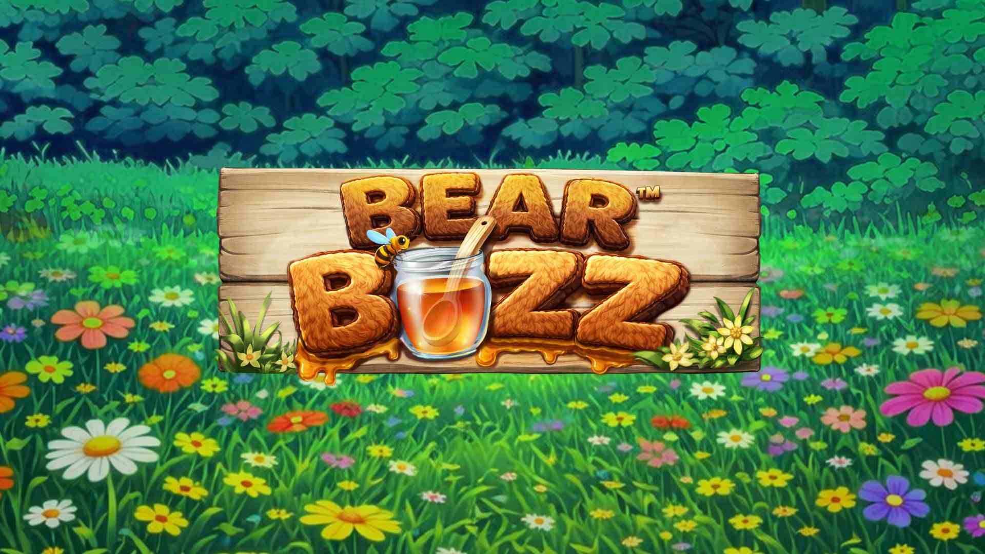 Bear Buzz