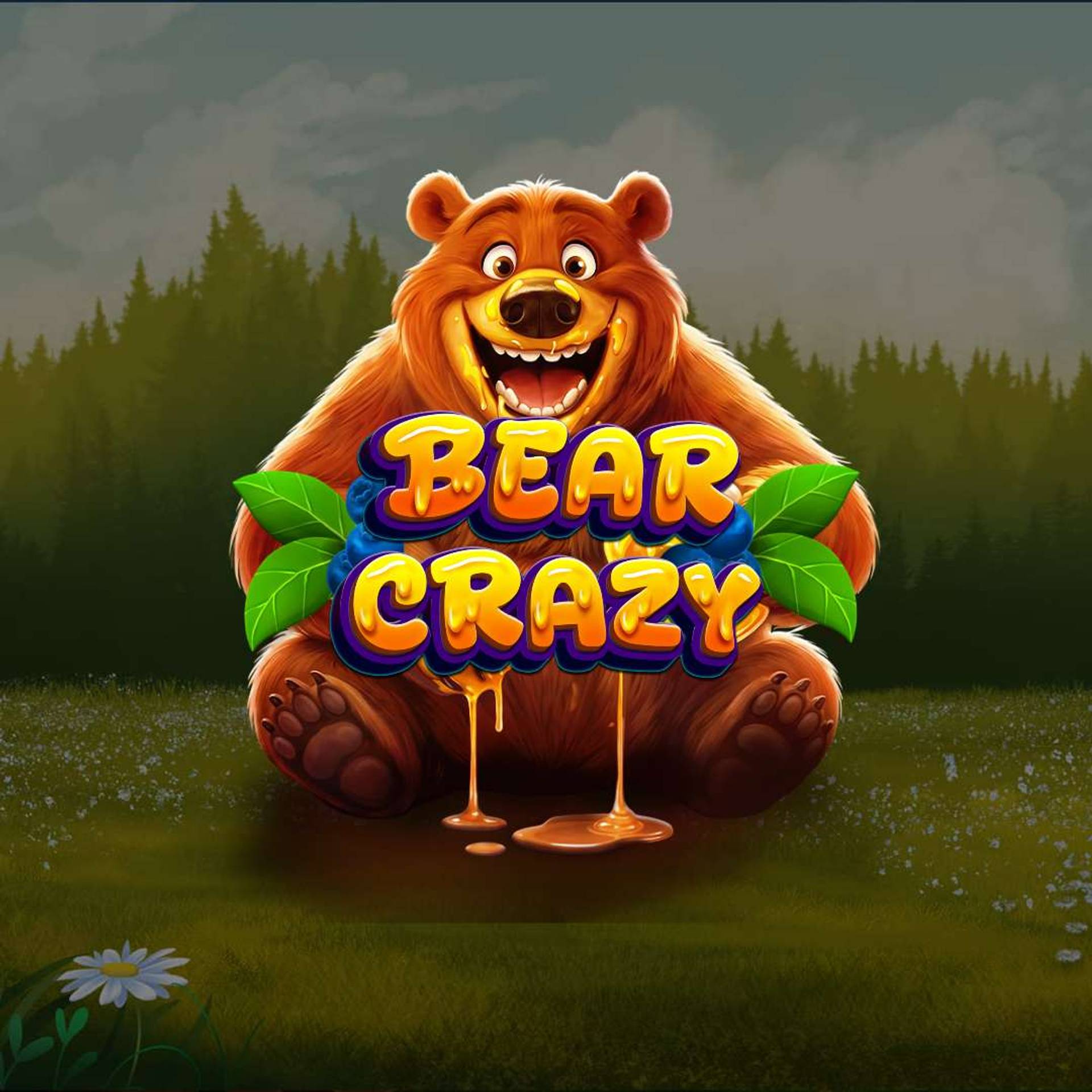 Bear Crazy