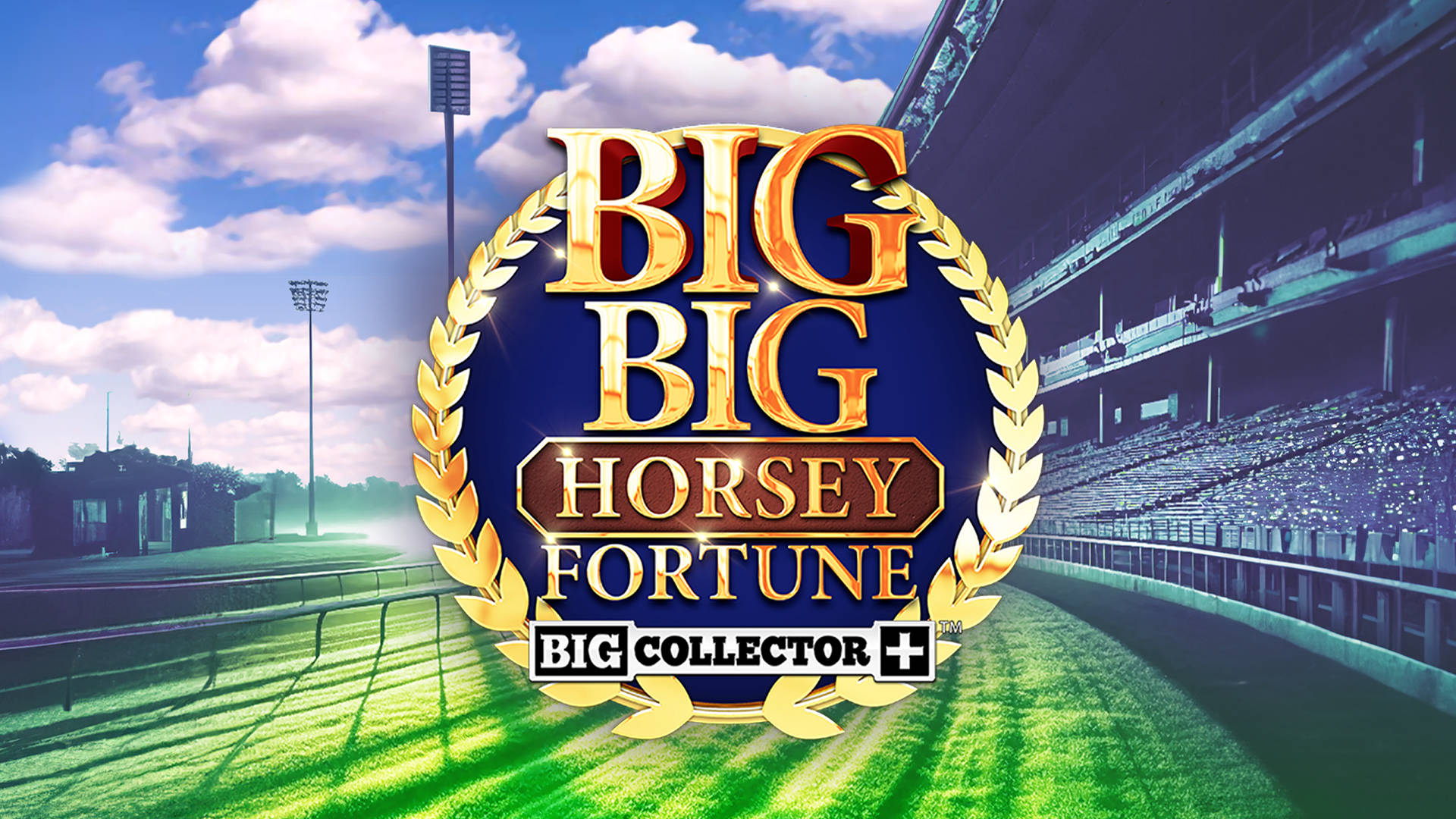 Big Big Horsey Fortune