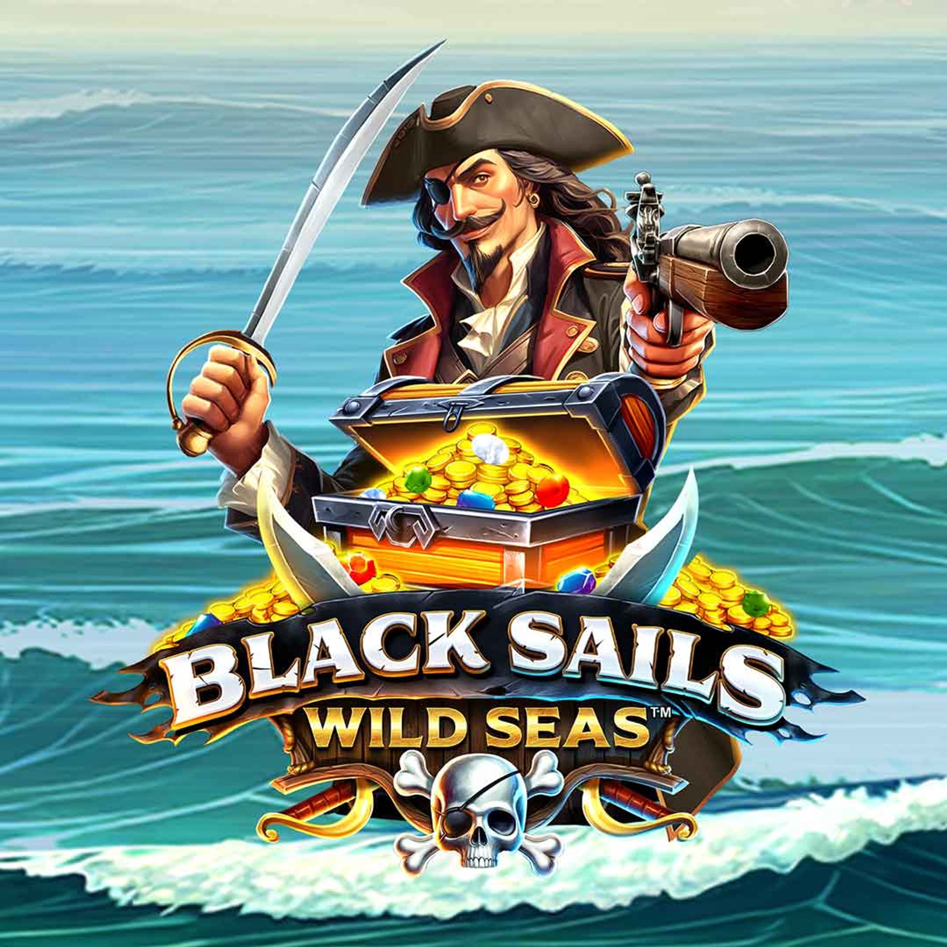 Black Sails Wild Seas