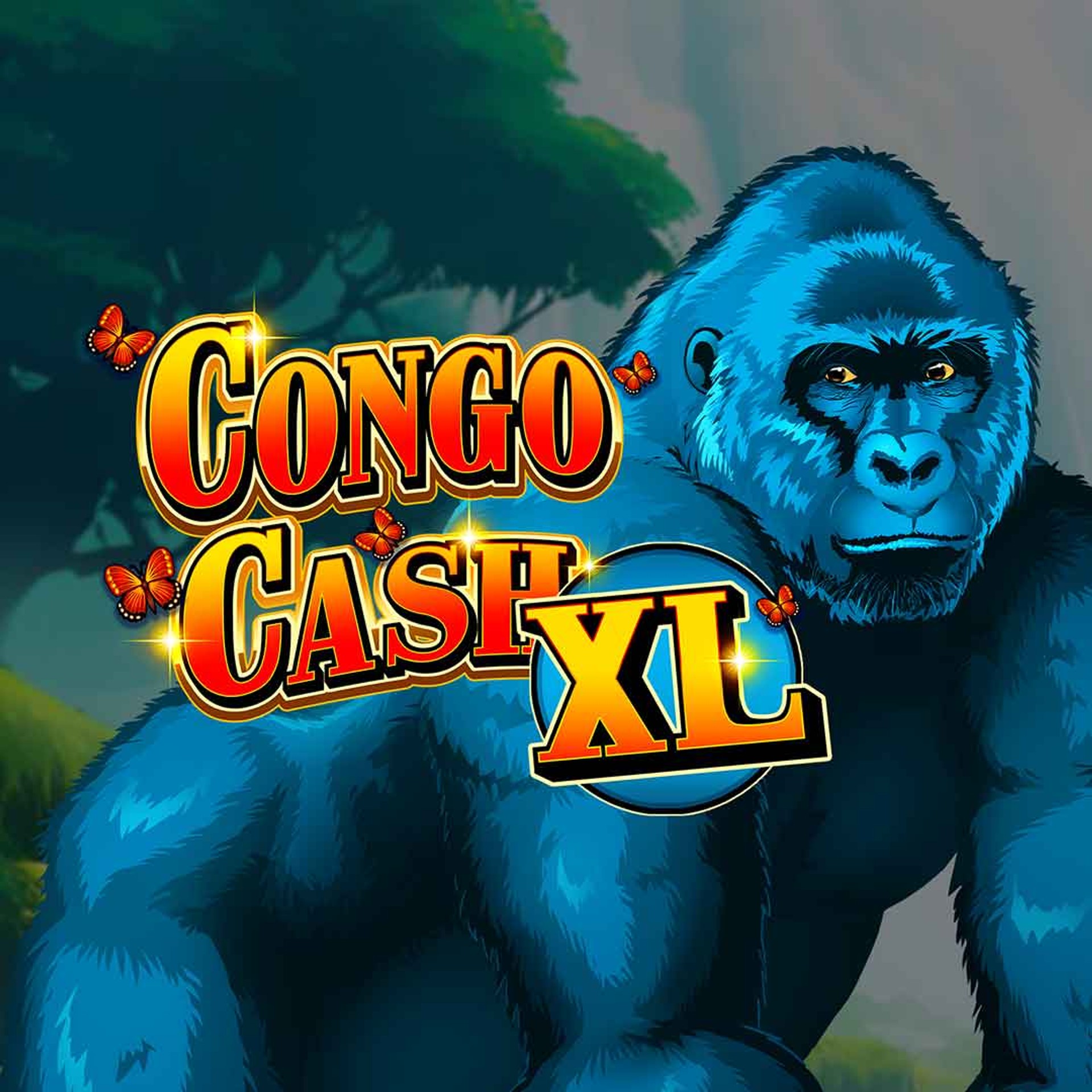 Congo Cash XL