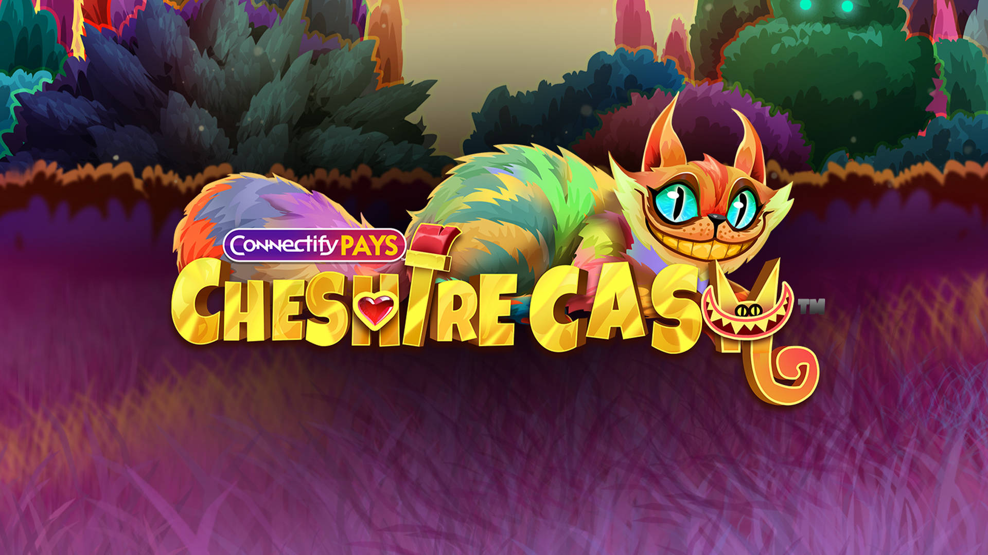 Connectify Pays Cheshire Cash