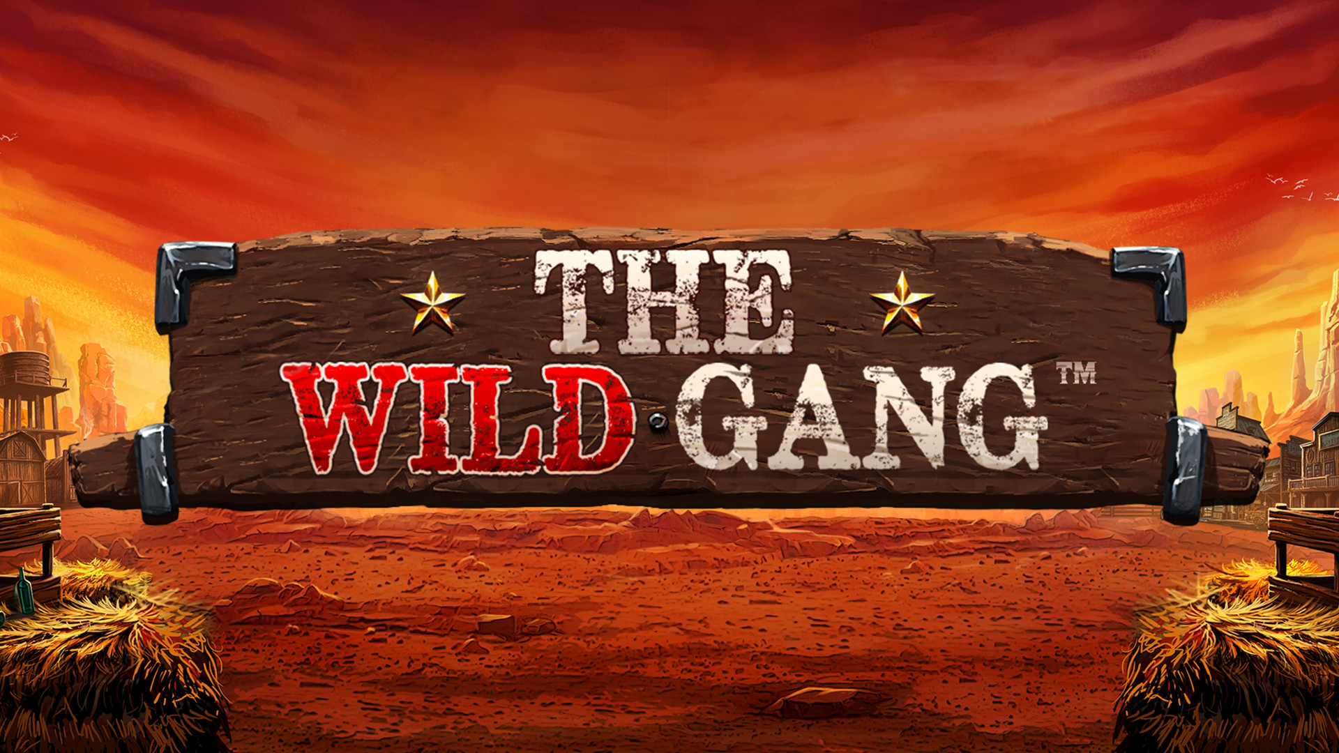 The Wild Gang