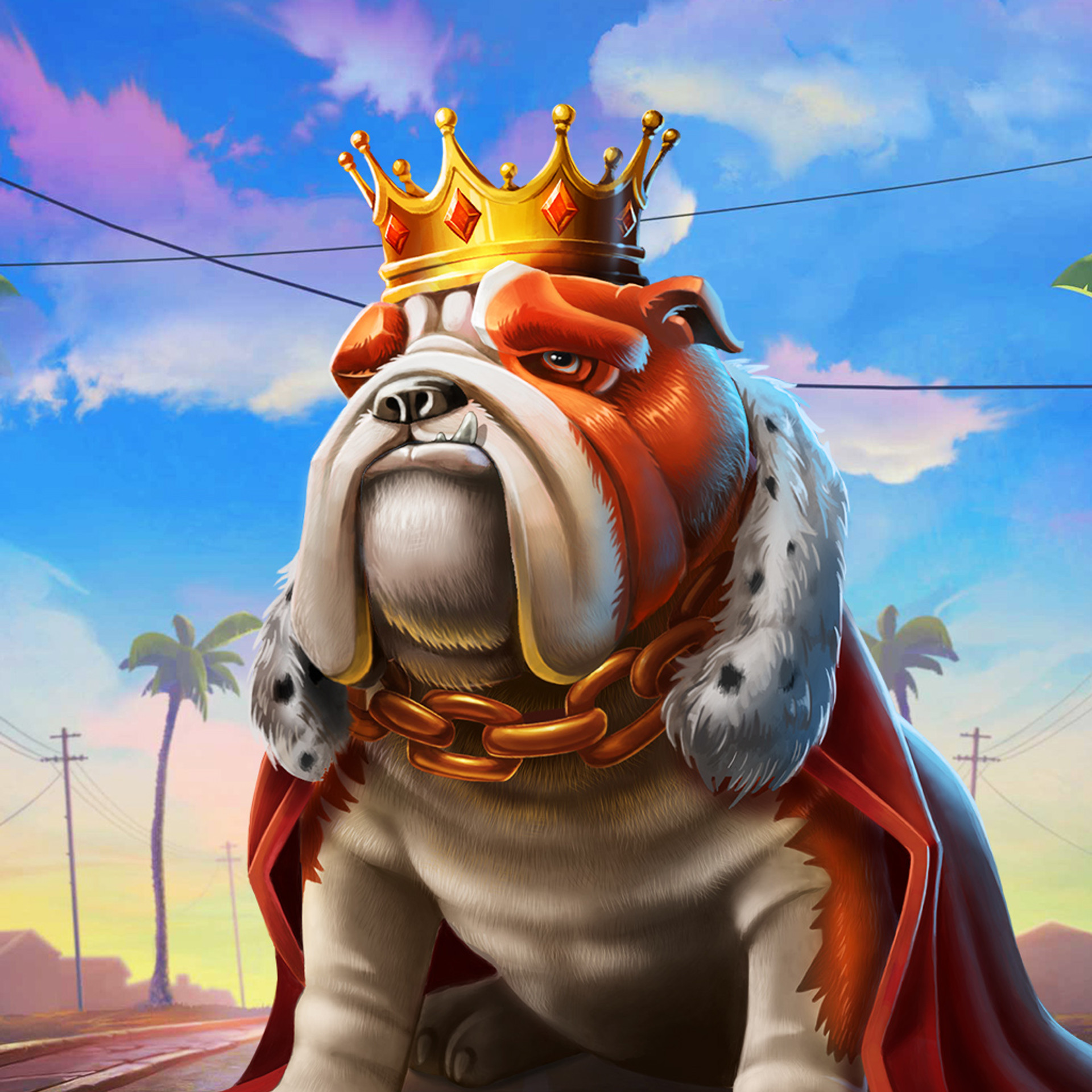 Top Dawg$