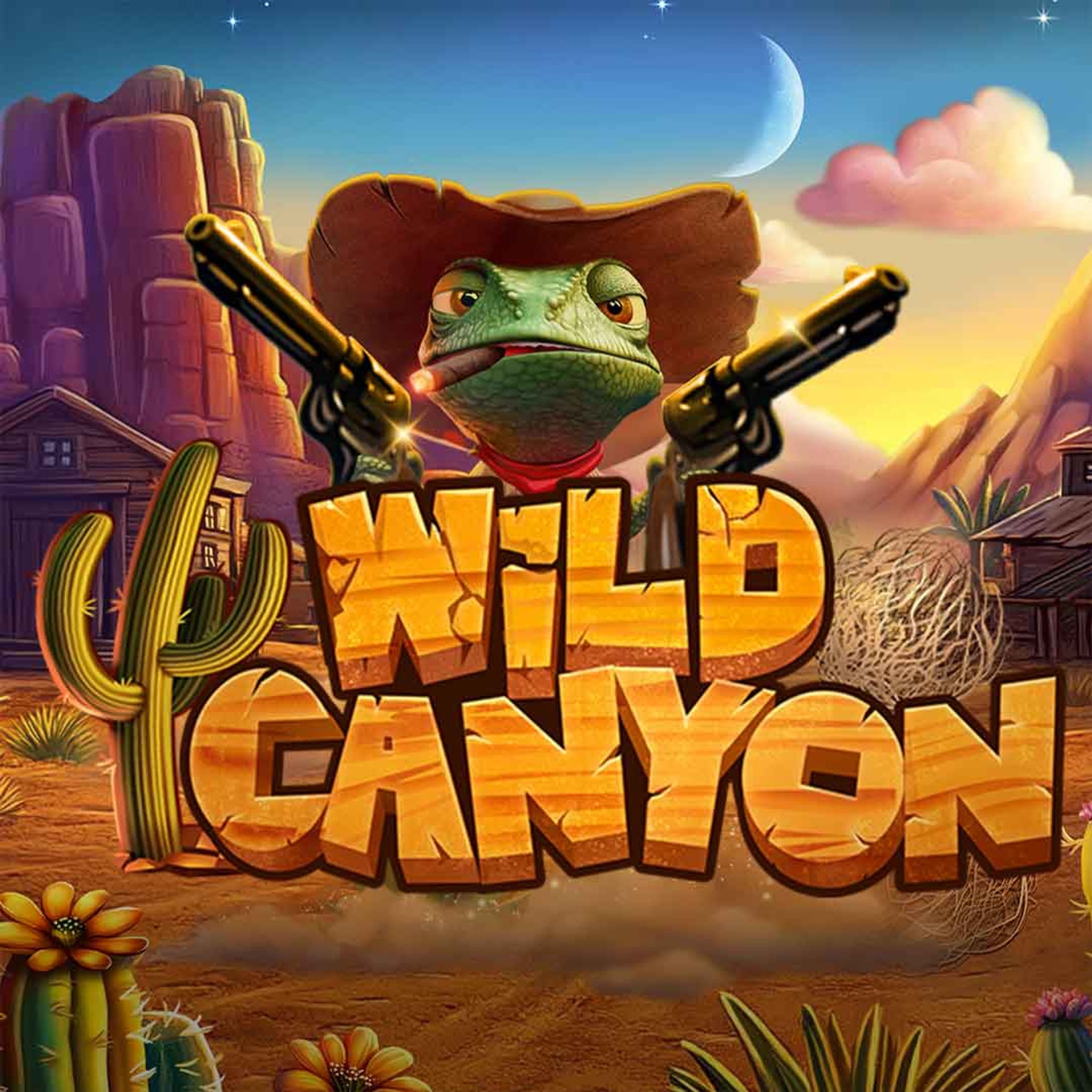 Wild Canyon