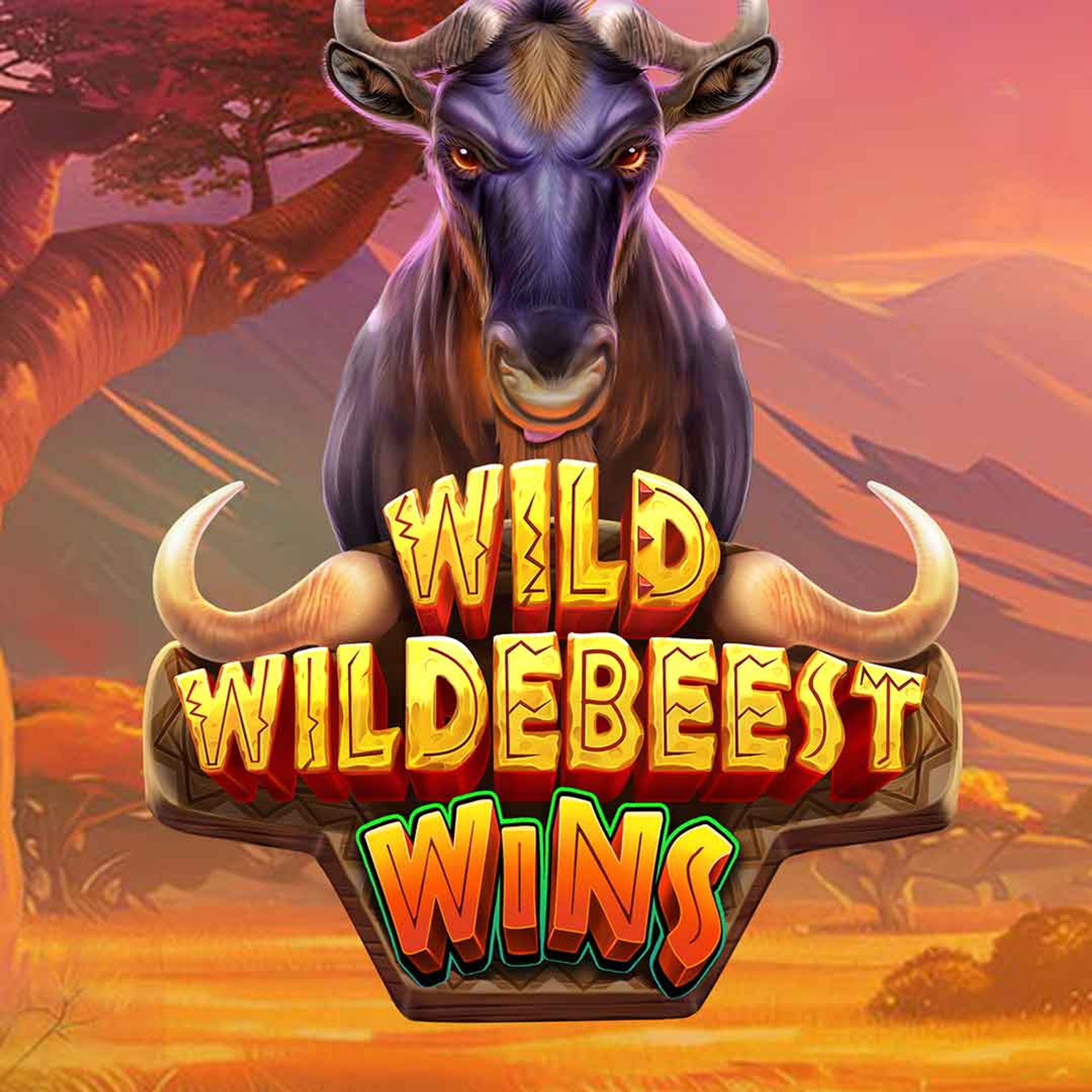 Wild Wildebeest Wins