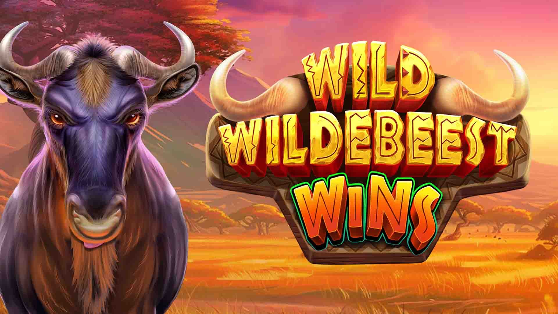 Wild Wildebeest Wins