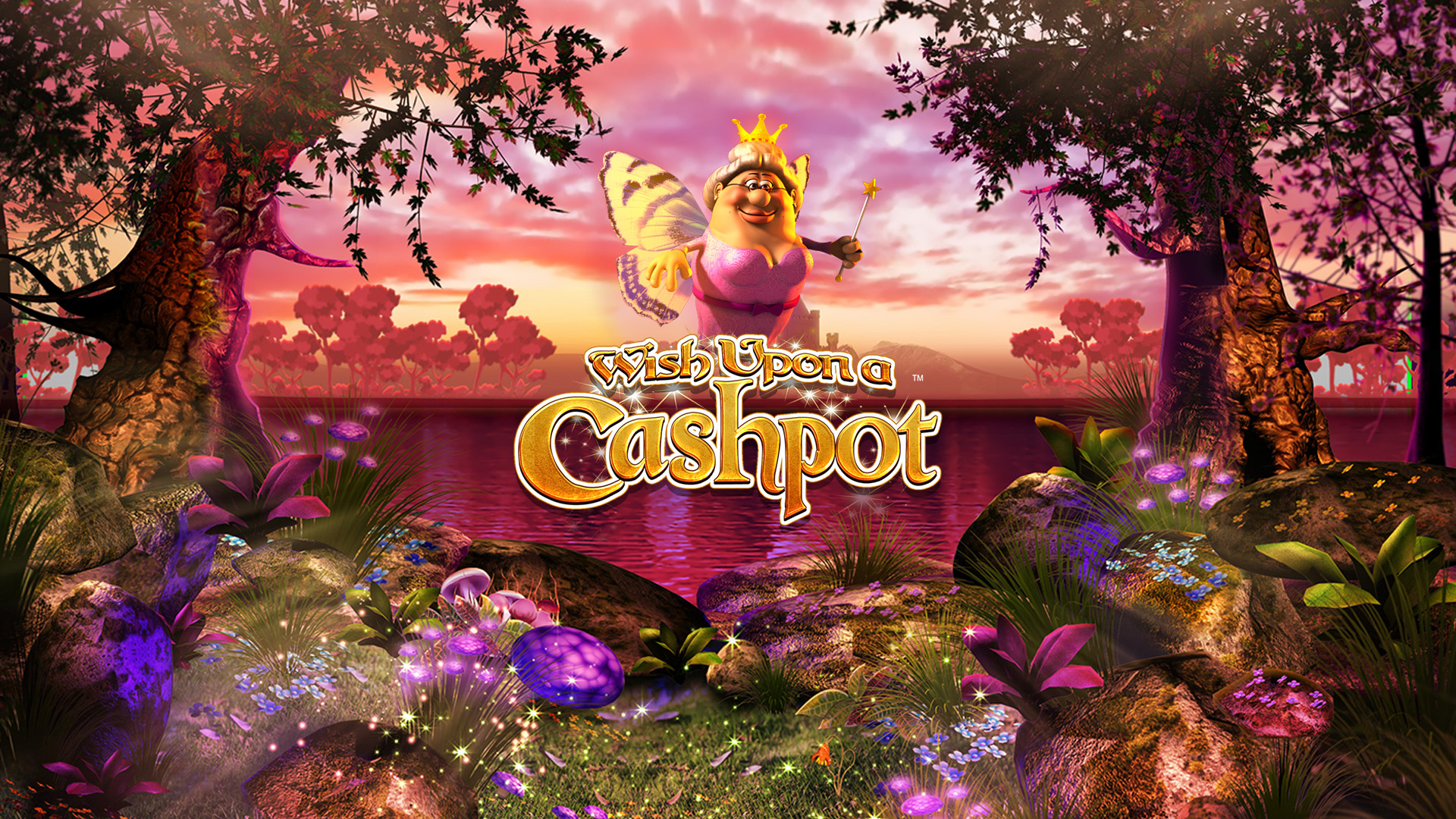Wish Upon A Cashpot